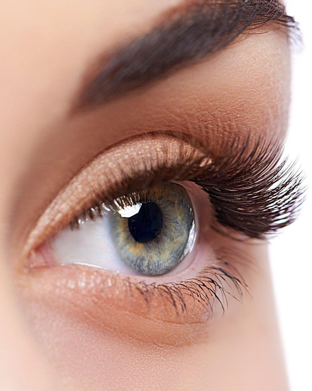 CILESSA — Sérum Repousse Cils & Sourcils
